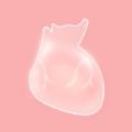 life生命模拟器ios汉化最新版v1.5.1