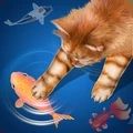 给猫玩的ipad手机游戏安卓版v1.0