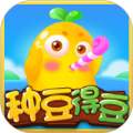 种豆得豆红包版