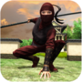 真实忍者模拟器安卓版
