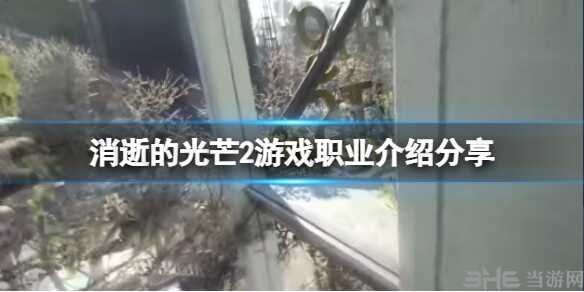 消逝的光芒2有什么职业 全部职业介绍