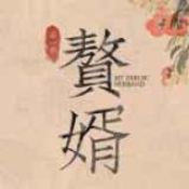赘婿手游