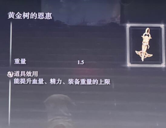 艾尔登法环观星者装备用什么 开荒装备路线获取心得