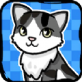 跑跑云养猫安卓正版游戏v1.01
