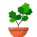 植物日记游戏