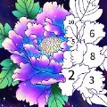 你好颜色游戏安卓手机版v0.8