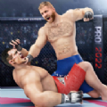 mma拳击格斗游戏手机版v2.0.7