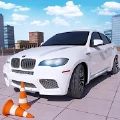 大师停车场3d游戏安卓版v1.0