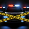 警察驾驶培训模拟器游戏安卓版v1.2
