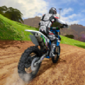 越野摩托车冠军游戏安卓版（DirtBike）v1.2