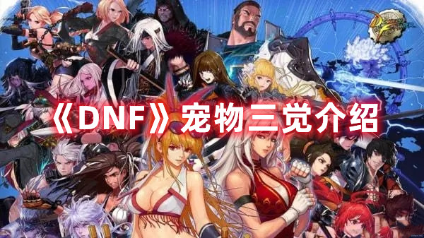 《DNF》宠物三觉介绍