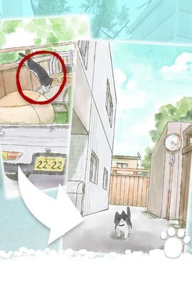 迷路猫咪的故事
