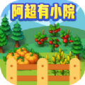 阿超有小院游戏正式红包版