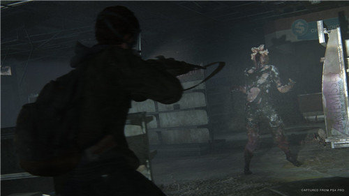 最后生还者中文版