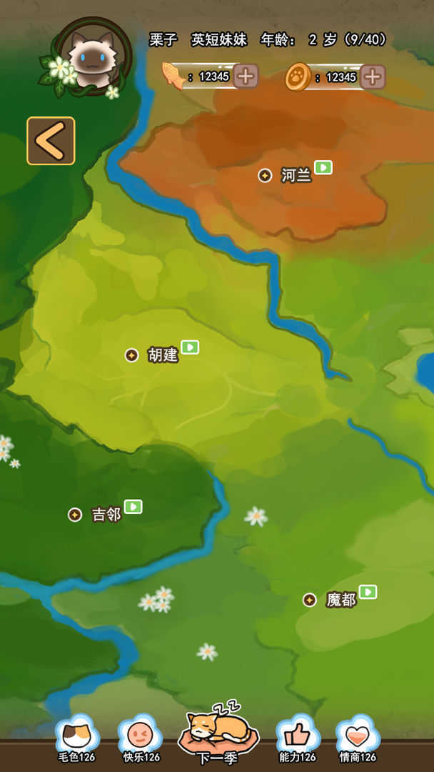 萌猫养成记红包正版