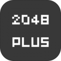 不一样的2048