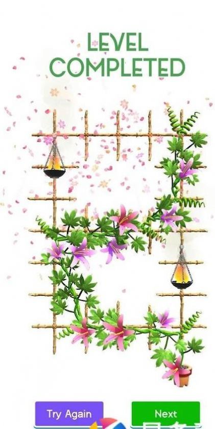 花架大师安卓版