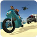黑帮行动犯罪城市游戏最新中文版（TruckDriverCityCrash）v3.2.3