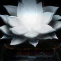 莽荒余生手游官方版v1.00