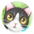 微信我的猫咪游戏下载安卓版下载v1.1
