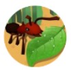 微信蚂蚁进化3d小游戏安卓版v1.3