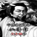 中国传统武术八卦掌六十四手游戏Steam完整版手机版1.0
