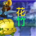 植物大战僵尸花竹版最新版（pvz花竹）v1.1.1