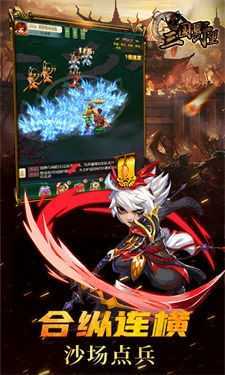 三国野望国战版本