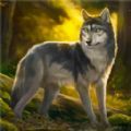 荒野狩猎生存游戏安卓版v1.0