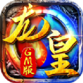 龙皇gm版手游官方版v1.1.0