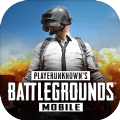 pubgm(国际服)手游下载地铁逃生最新版2022v1.9.0