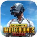 pubgmobile国际服免费下载1.6.0版本最新版v1.9.0