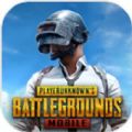 PUBGMOBILE国际服1.7.0安装包官方最新版本v1.9.0
