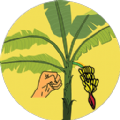 破坏热带植物游戏安卓版(SalamDariBinjai-Game)