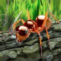 昆虫世界生存指南steam游戏官方中文版v1.0