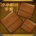 小小解谜专家小游戏最新版v0.1.2