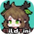 迈尔德提尼游戏中文版v1.5.29