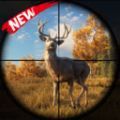 野生猎人经典版游戏手机版v1.0
