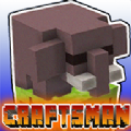 我的世界建造模拟器游戏汉化版（MAInCraftsman）v4.0.0