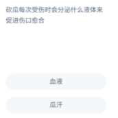 《蚂蚁新村》5月28日答案全新2022