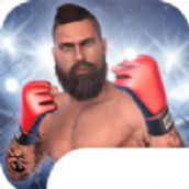 MMA格斗冲突中文汉化最新版