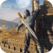 忍者武士2020中文汉化最新版
