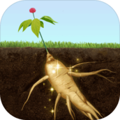 夺笋高手免广告破解版