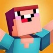 迷你大陆破解版