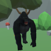 CarsandMonke