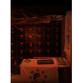 《情棺》第五章通关流程策略