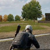 我的吃鸡模拟v1.0