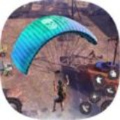 秘密突击队射击v1.0