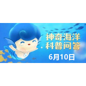 《神奇海洋》为什么我国近海没有湛蓝的海水 6月10日答案
