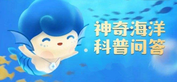 《神奇海洋》今日答案6月11日全新